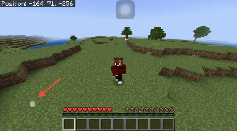 Minecraft 1.21.122
