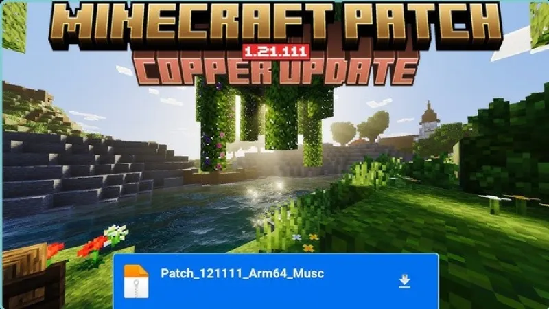 Minecraft 1.21.111