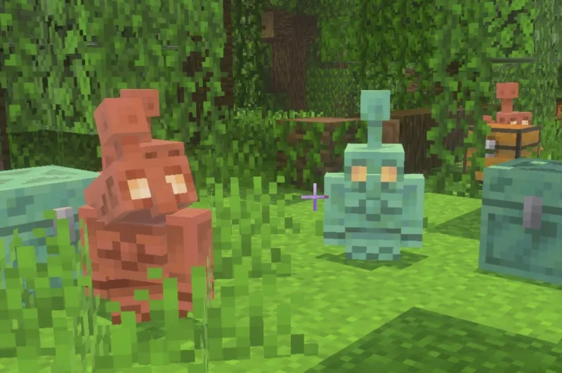 Minecraft 1.21.111