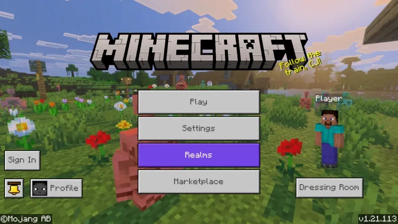 Minecraft 1.21.113
