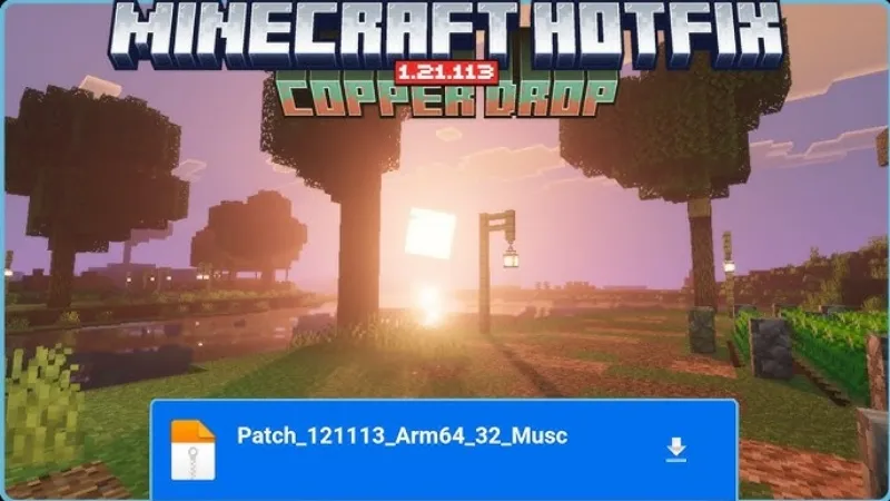 Minecraft 1.21.113
