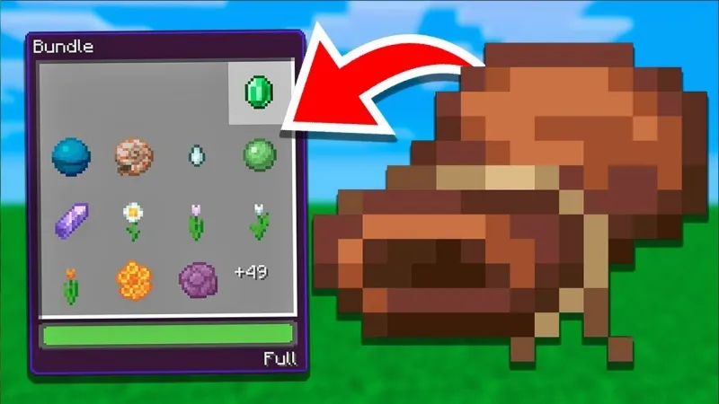 Minecraft 1.21.113