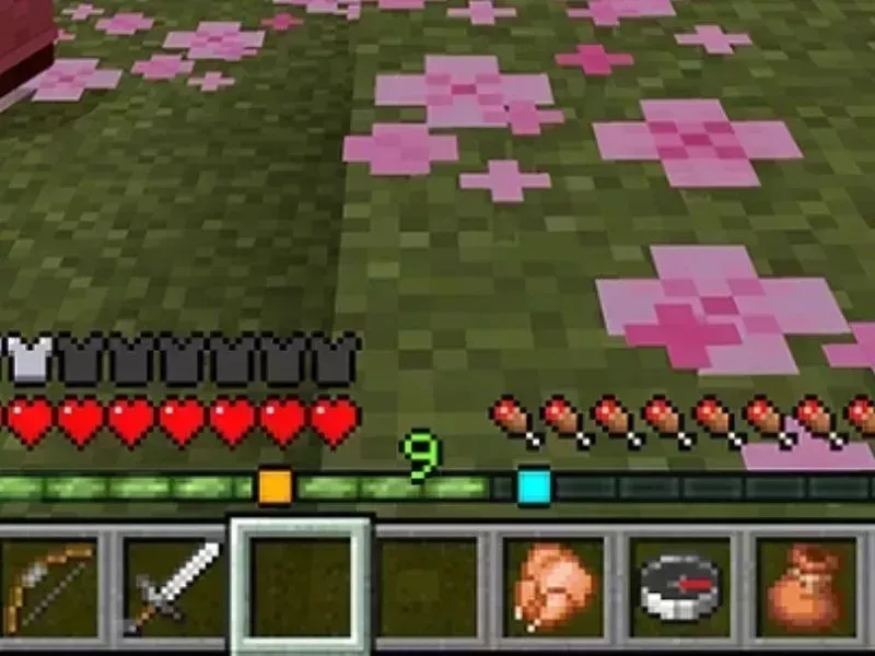 Minecraft 1.21.90