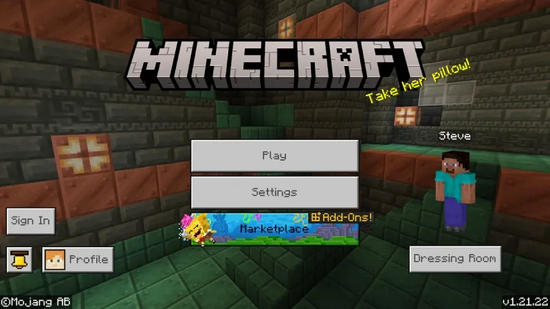 Minecraft 1.21.22