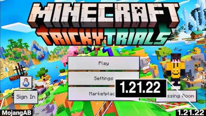 Minecraft 1.21.22