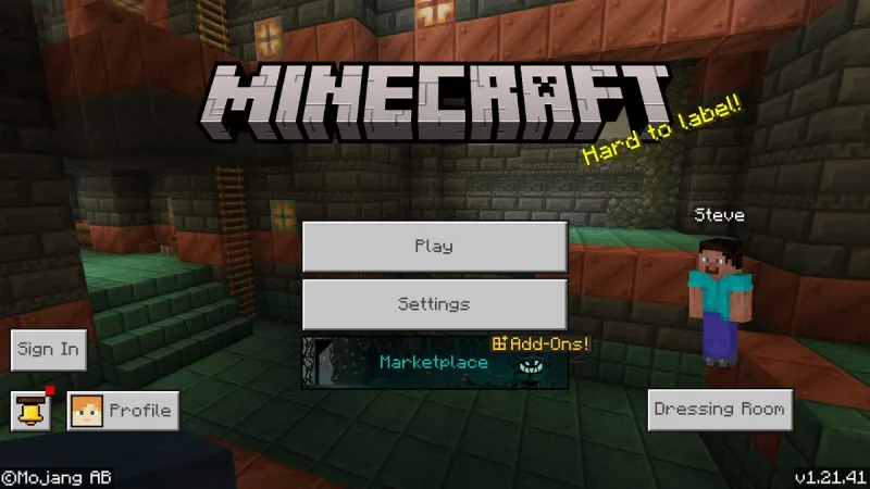 Minecraft 1.21.41