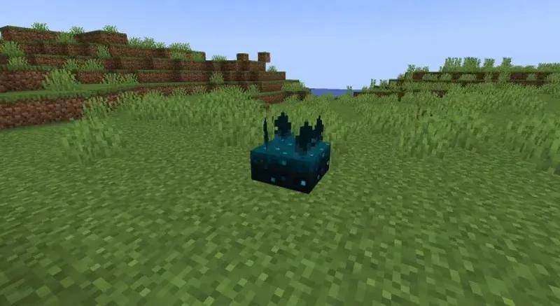 Minecraft 1.20.10