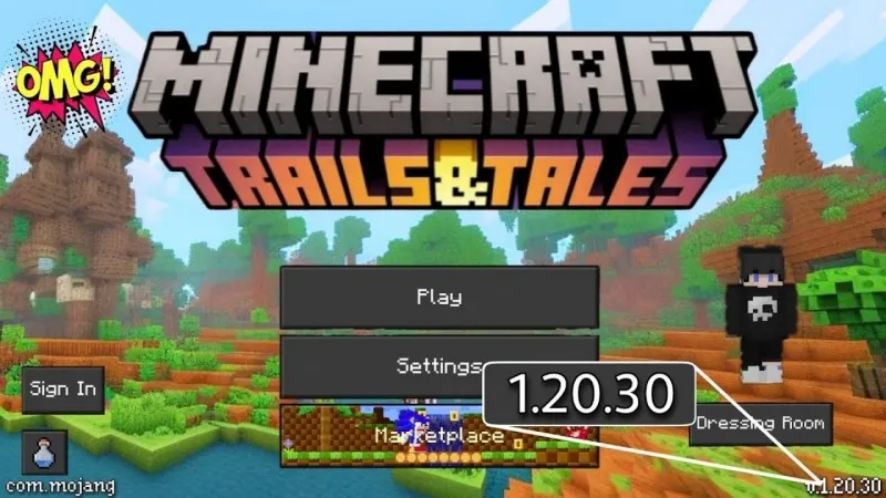 Minecraft 1.20.30