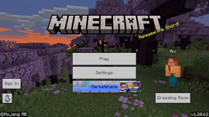 Minecraft 1.20.62