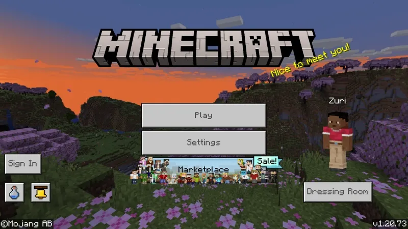 Minecraft 1.20.73
