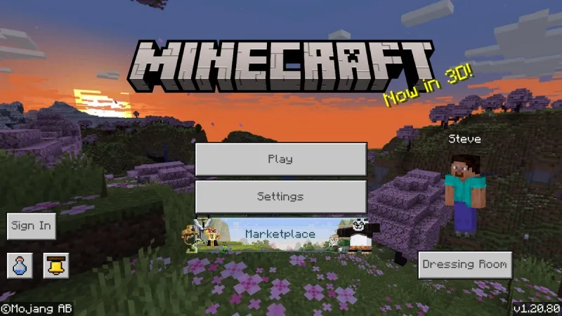 Minecraft 1.20.80