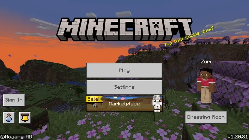 Minecraft 1.20.81
