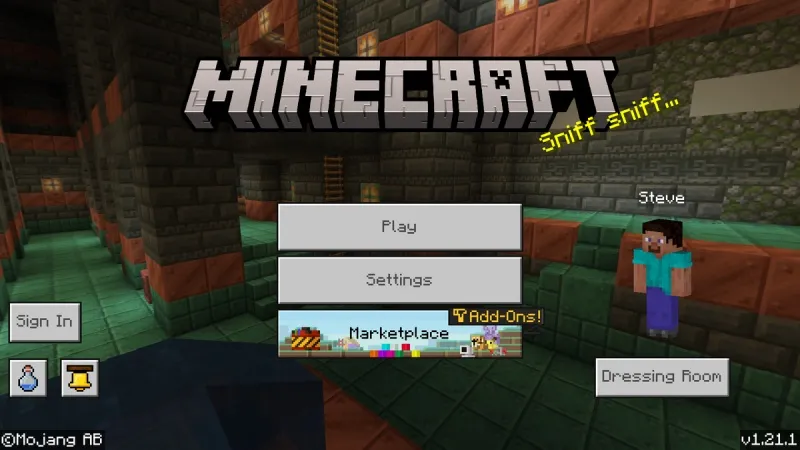 Minecraft 1.21.1