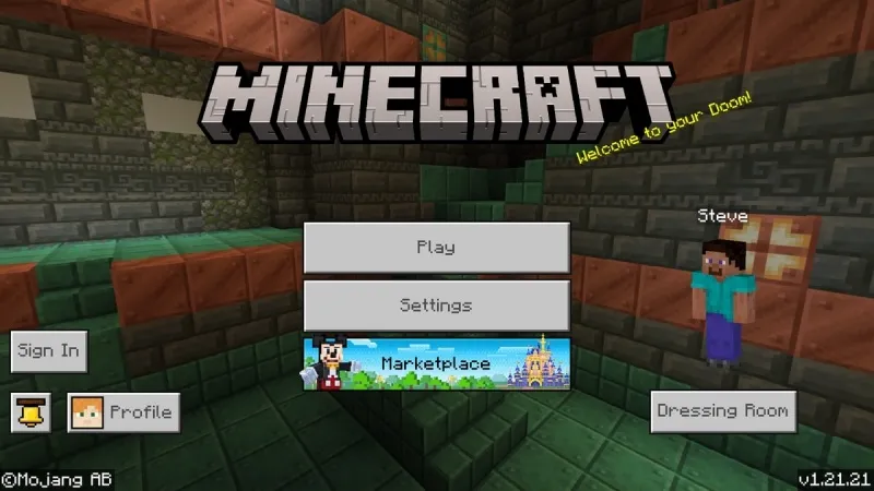 Minecraft 1.21.21