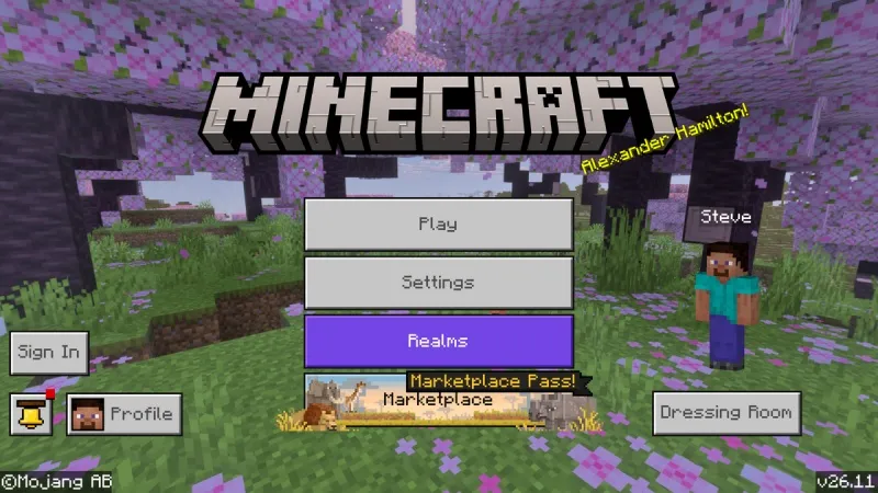 Minecraft 26.11