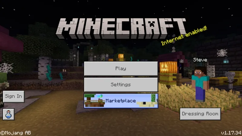 Minecraft 1.17.34