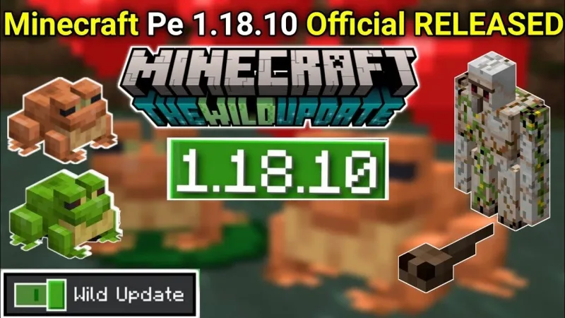 Minecraft 1.18.10
