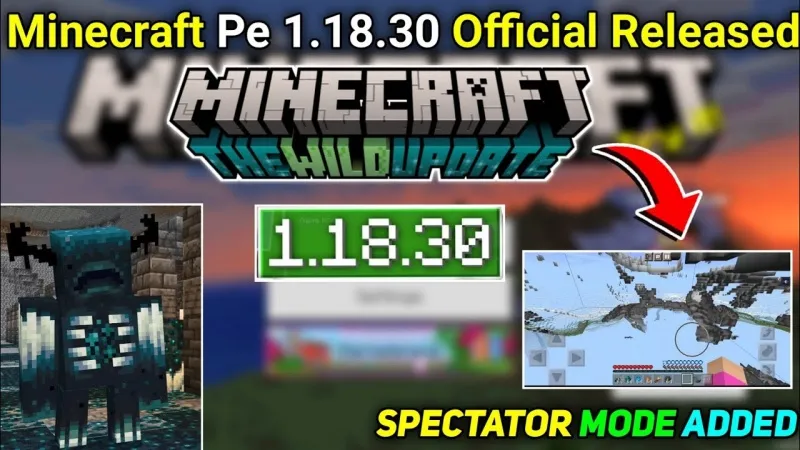 Minecraft 1.18.30