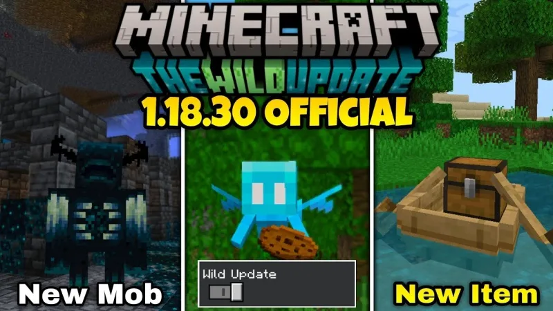 Minecraft 1.18.30