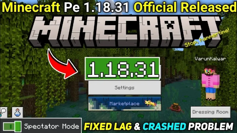 Minecraft 1.18.31