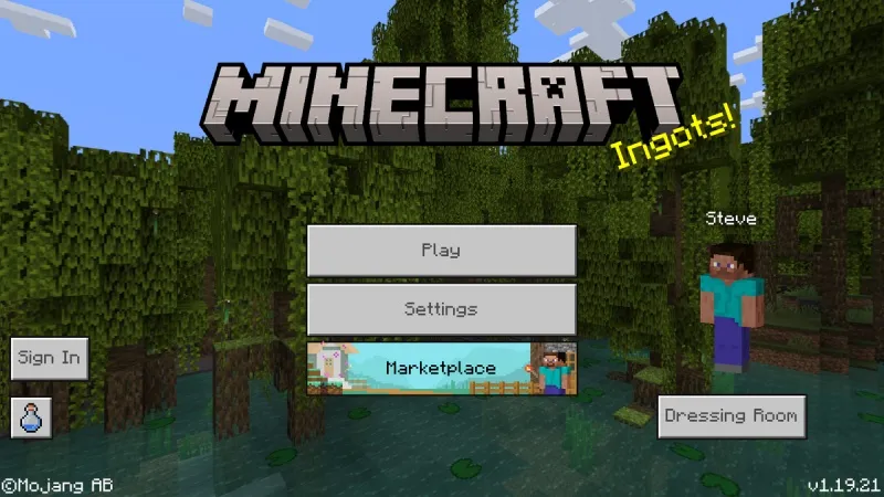 Minecraft 1.19.21