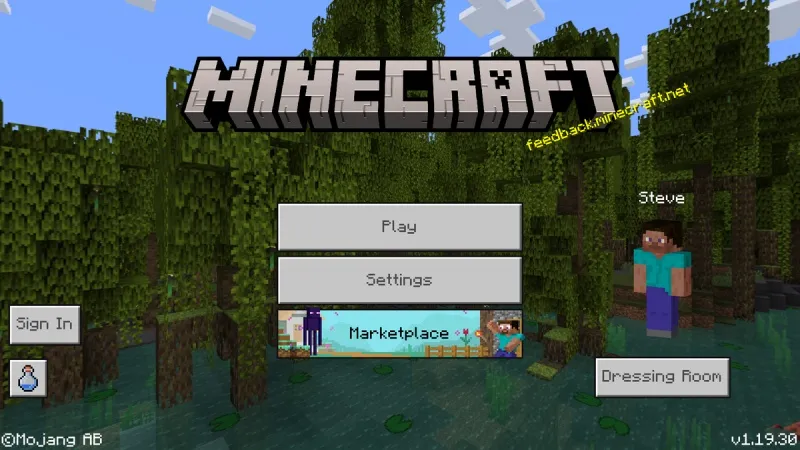 Minecraft 1.19.30